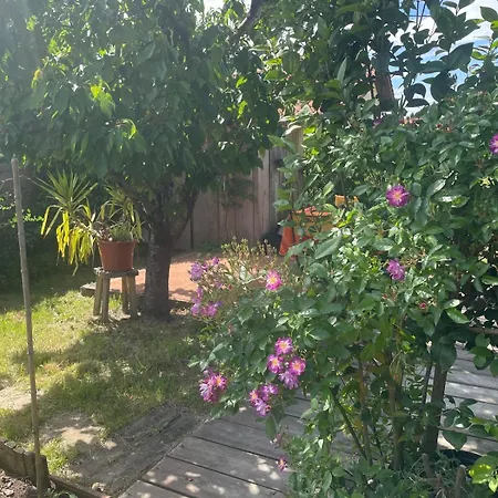 Deux Bois Terrasse Jardin Bassin Et Ocean * Le Teich