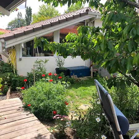 Prázdninový dům Deux Bois Terrasse Jardin Bassin Et Ocean *