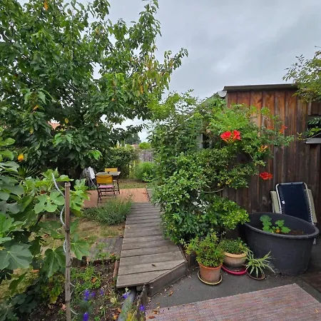 Deux Bois Terrasse Jardin Bassin Et Ocean Le Teich